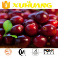 GMP factory supply fruit powder cranberry powder for supplement